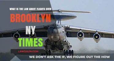 Brooklyn Skies: Understanding Flight Laws Over NYC Neighborhoods