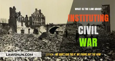 Understanding Legal Boundaries: The Law on Instituting Civil War
