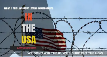 Understanding U.S. Immigration Law: Policies, Rights, and Entry Requirements