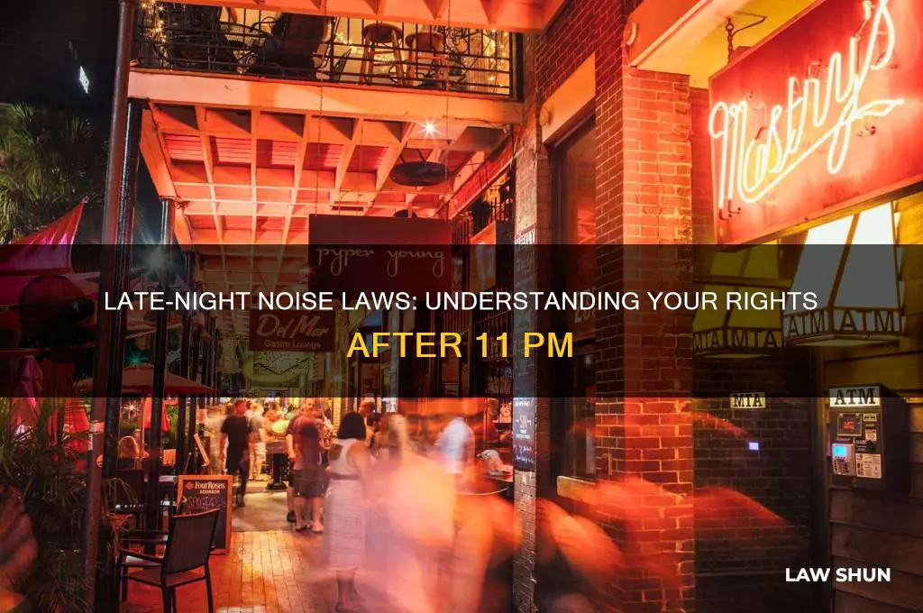 what is the law about neighbour noise after 2300 hrs
