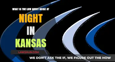 Kansas Night Noise Laws: Understanding Quiet Hours and Regulations