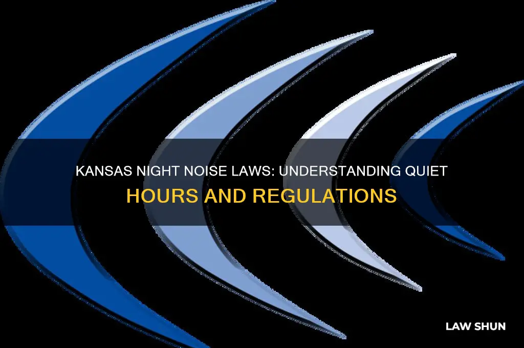 what is the law about noise at night in kansas