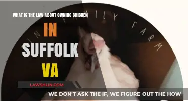 Owning Chickens in Suffolk, VA: Understanding Local Laws and Regulations