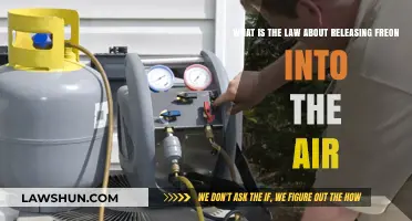 Releasing Freon into the Air: Legal Consequences and Environmental Impact