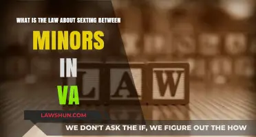 Sexting Among Minors in Virginia: Legal Consequences and Risks Explained