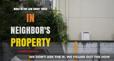 Neighbor's Trees: Understanding Property Rights and Legal Boundaries