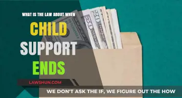 Understanding When Child Support Obligations Legally End: Key Insights