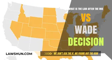 Post-Roe v. Wade: Understanding the New Legal Landscape for Abortion