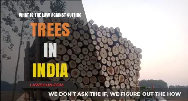 Tree Felling Laws in India: Understanding the Legalities