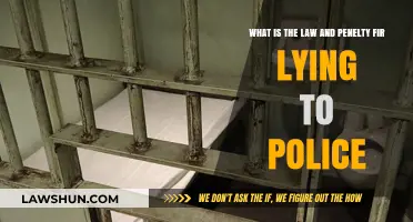 Lying to Police: Understanding Legal Consequences and Penalties