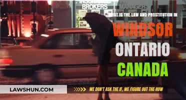 Prostitution Laws in Windsor, Ontario: Explained