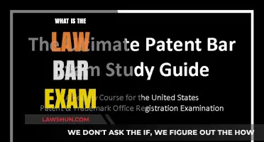 Decoding the Bar Exam: Your Pathway to Legal Practice
