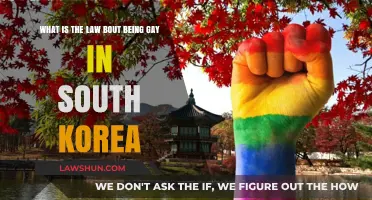South Korea's LGBTQ+ Laws: Understanding Rights and Legal Protections