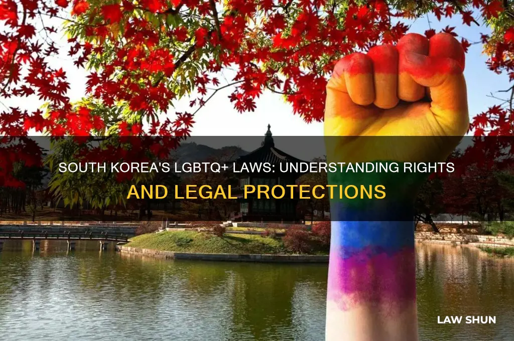 what is the law bout being gay in south korea