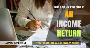 Understanding the Legal Requirements for Filing Income Tax Returns