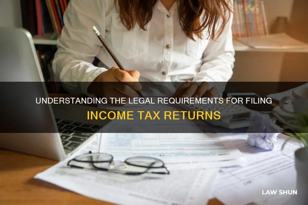 what is the law citing filing of an income return
