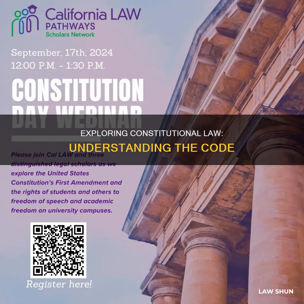 what is the law code for constitution article