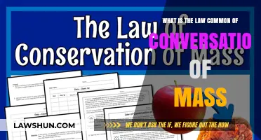 Mass Conservation Law: Unchanging Total Mass