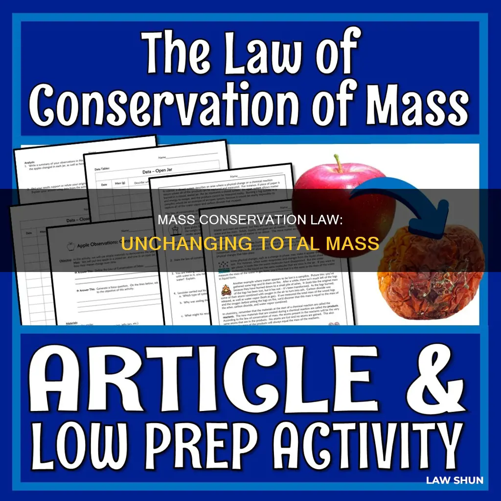 what is the law common of conversation of mass