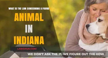 Indiana's Found Animal Laws: Rights, Responsibilities, and Reuniting Pets