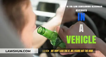 Vehicle Alcohol Laws: Understanding Open Container Regulations and Penalties