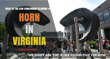 Virginia's Horn Laws: Understanding When and How to Blow Your Horn