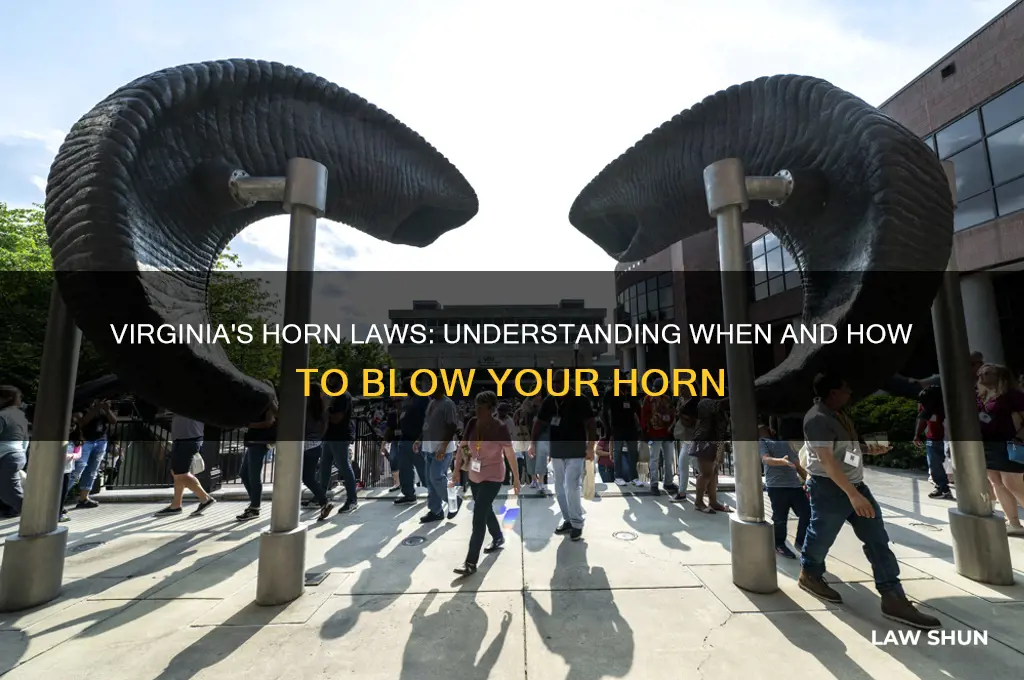 what is the law concerning blowing your horn in virginia