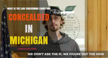 Michigan's Concealed Carry Laws: Understanding Your Rights and Responsibilities