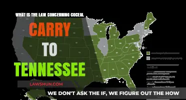 Understanding Tennessee's Concealed Carry Laws: A Comprehensive Legal Guide