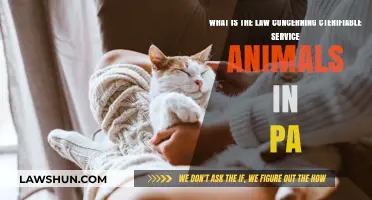 Pennsylvania's Certifiable Service Animal Laws: Rights, Regulations, and Requirements