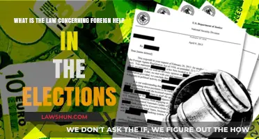 Foreign Influence in Elections: Legal Boundaries and Consequences Explained