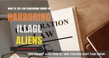 Understanding Legal Consequences: Hiring or Harboring Illegal Aliens Explained