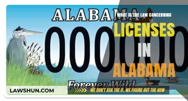 Alabama Licensing Laws: What You Need to Know