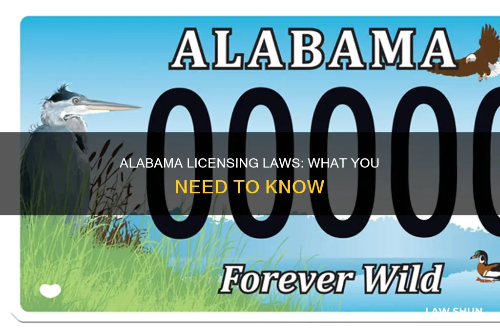 what is the law concerning licenses in alabama