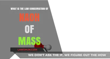 Understanding the Law of Conservation of Mass in NaOH Reactions