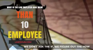 Employer Legal Obligations: Understanding Laws for Businesses with 10+ Employees
