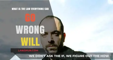 The Law of Murphy: When Everything Goes Wrong