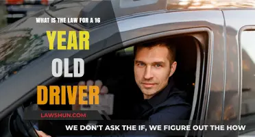 Understanding Legal Driving Rules for Sixteen-Year-Olds: A Comprehensive Guide