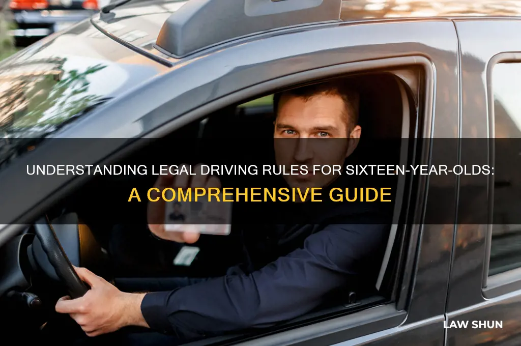 what is the law for a 16 year old driver