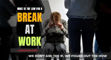 Understanding Work Breaks: Your Legal Rights Explained