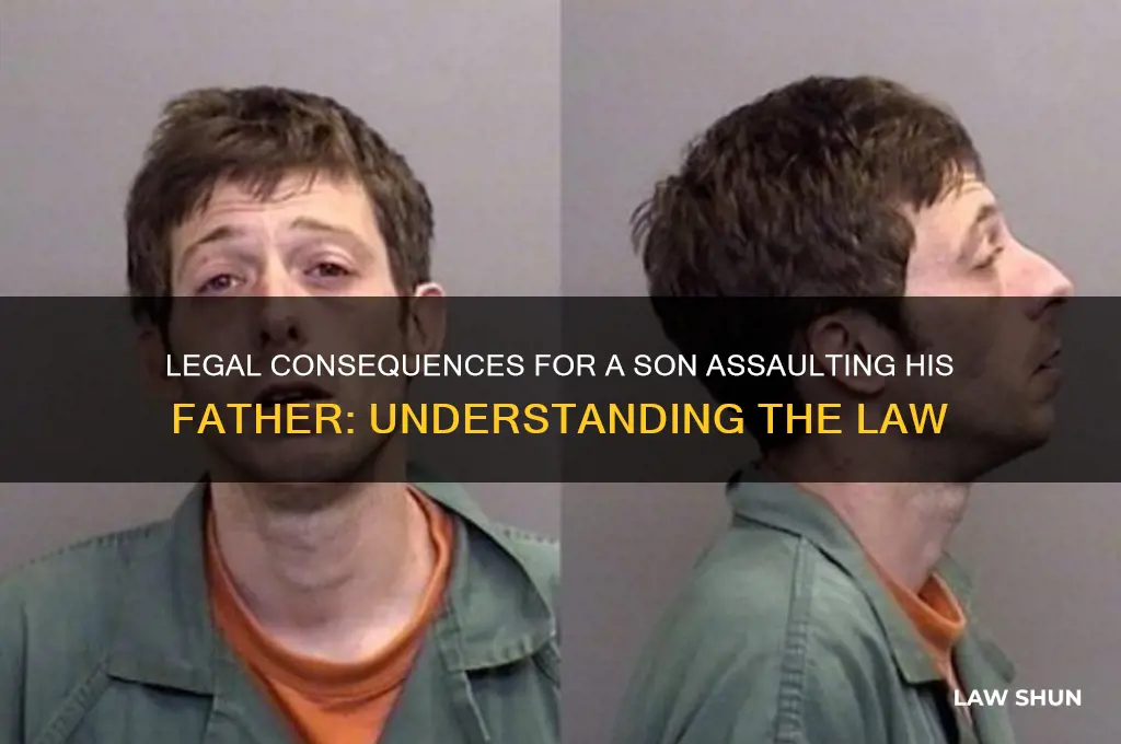 what is the law for a son hitting his father