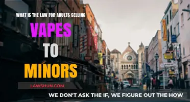 Legal Consequences: Selling Vapes to Minors – What Adults Need to Know