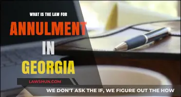 Understanding Georgia's Annulment Laws: Requirements and Legal Process Explained
