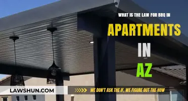 Arizona Apartment BBQ Laws: What Residents Need to Know