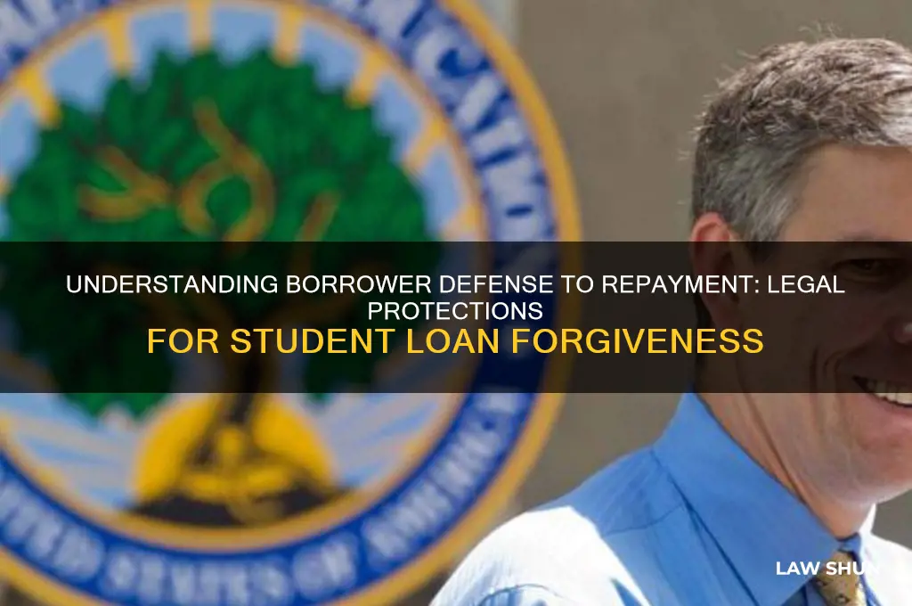 what is the law for borrowers defense to repayment program