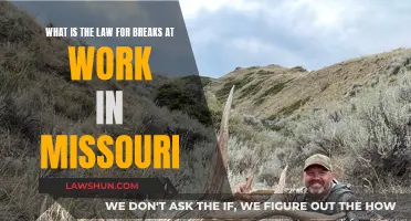 Understanding Missouri's Work Break Laws