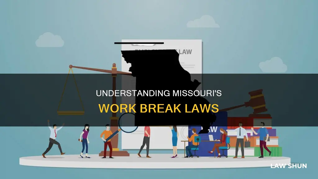 what is the law for breaks at work in missouri