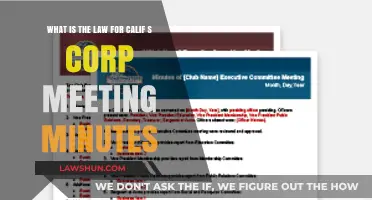 California S Corp Meeting Minutes: Legal Requirements and Compliance Guide