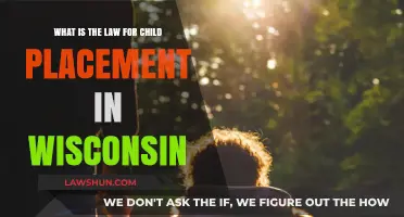 Wisconsin Child Placement Laws: Understanding Custody and Parenting Time Rules