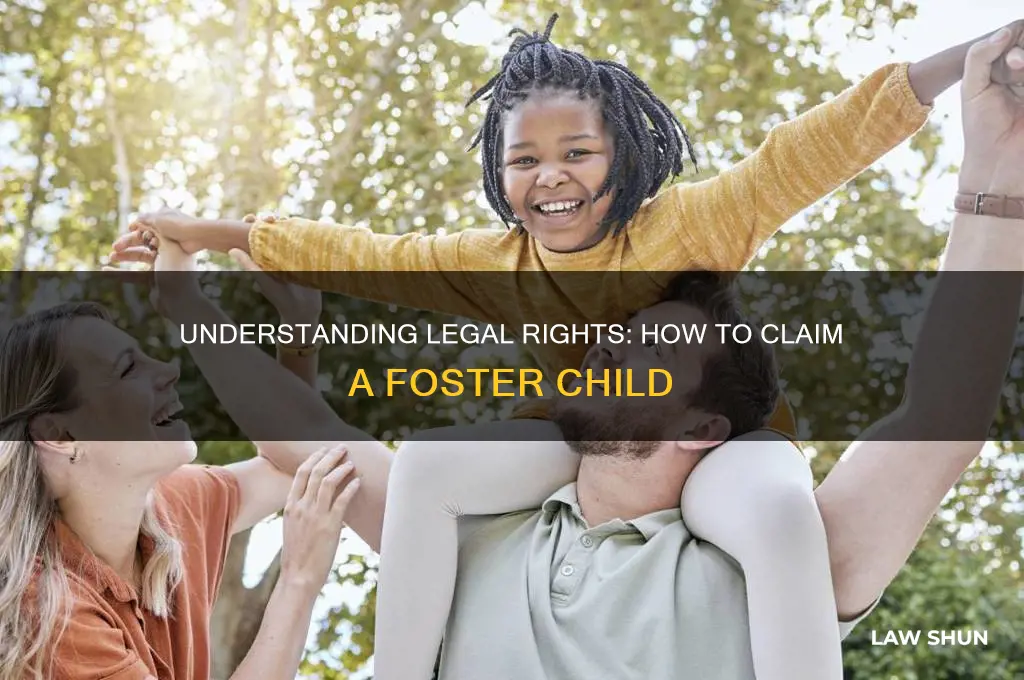 what is the law for claiming a foster child